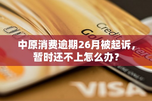 中原消费逾期26月被起诉，暂时还不上怎么办？