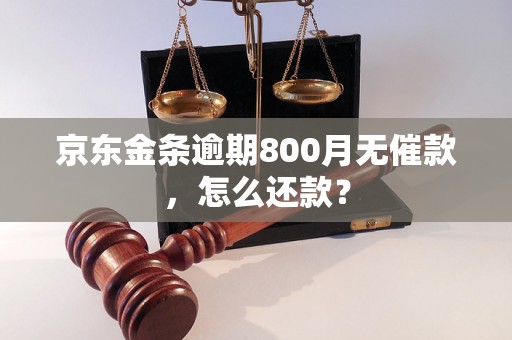 京东金条逾期800月无催款，怎么还款？