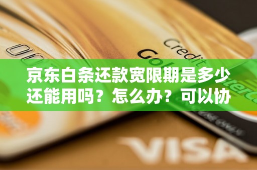 京东白条还款宽限期是多少还能用吗？怎么办？可以协商还本金吗？