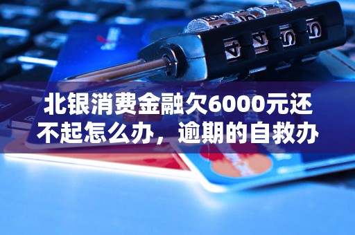 北银消费金融欠6000元还不起怎么办，逾期的自救办法