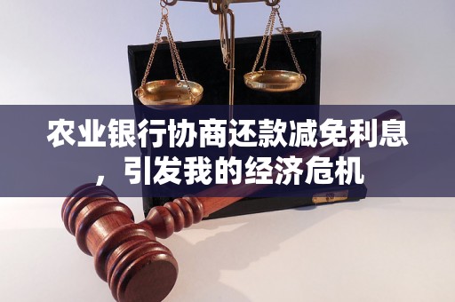 农业银行协商还款减免利息，引发我的经济危机