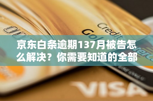 京东白条逾期137月被告怎么解决？你需要知道的全部解决方法