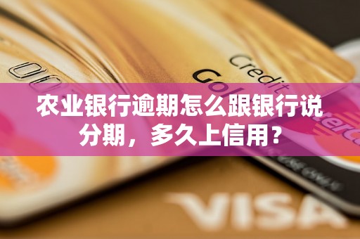 农业银行逾期怎么跟银行说分期，多久上信用？