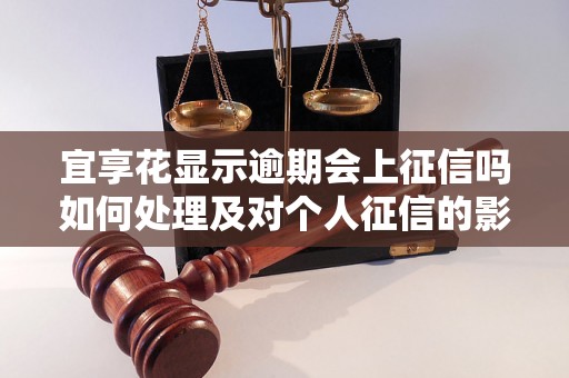 宜享花显示逾期会上征信吗如何处理及对个人征信的影响