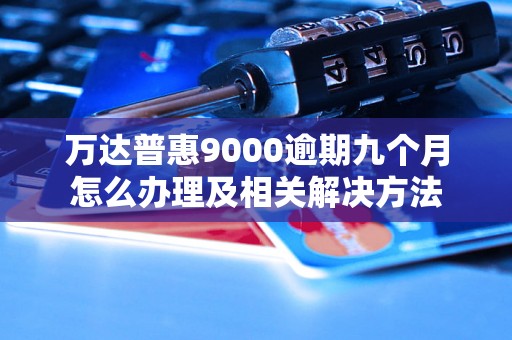 万达普惠9000逾期九个月怎么办理及相关解决方法