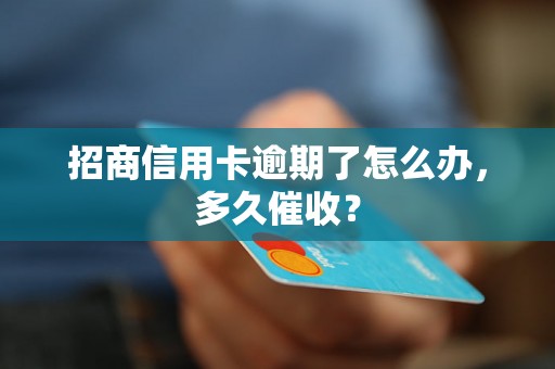 招商信用卡逾期了怎么办，多久催收？