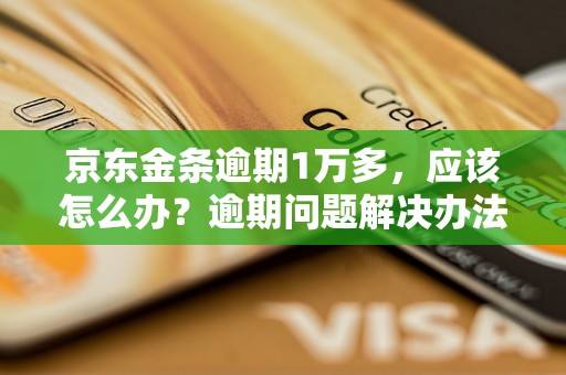 京东金条逾期1万多，应该怎么办？逾期问题解决办法