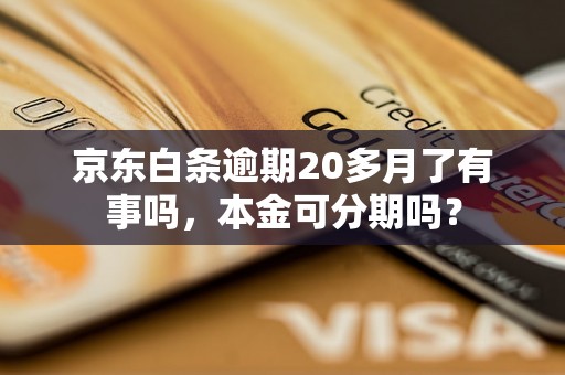 京东白条逾期20多月了有事吗，本金可分期吗？