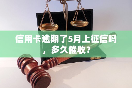 信用卡逾期了5月上征信吗，多久催收？