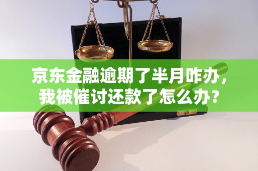 京东金融逾期了半月咋办，我被催讨还款了怎么办？