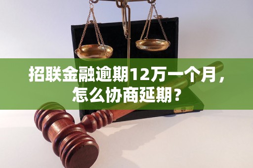 招联金融逾期12万一个月，怎么协商延期？