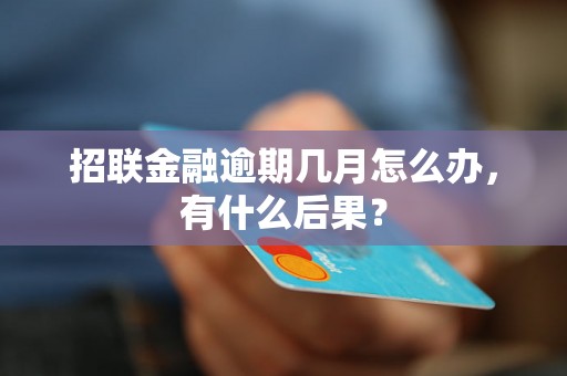 招联金融逾期几月怎么办，有什么后果？