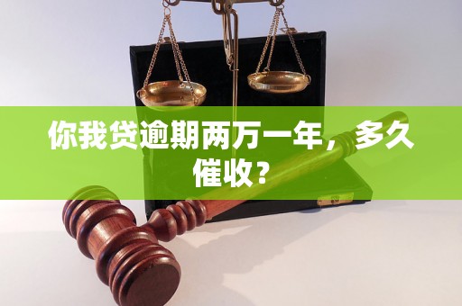 你我贷逾期两万一年，多久催收？