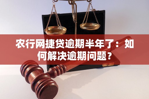 农行网捷贷逾期半年了：如何解决逾期问题？