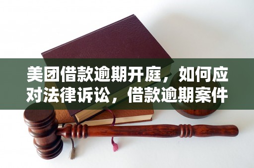 美团借款逾期开庭，如何应对法律诉讼，借款逾期案件处理建议