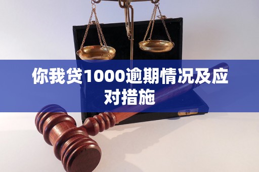 你我贷1000逾期情况及应对措施