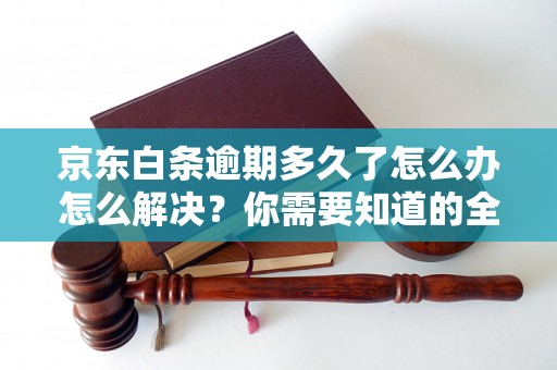 京东白条逾期多久了怎么办怎么解决？你需要知道的全部解决方法