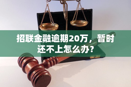 招联金融逾期20万，暂时还不上怎么办？