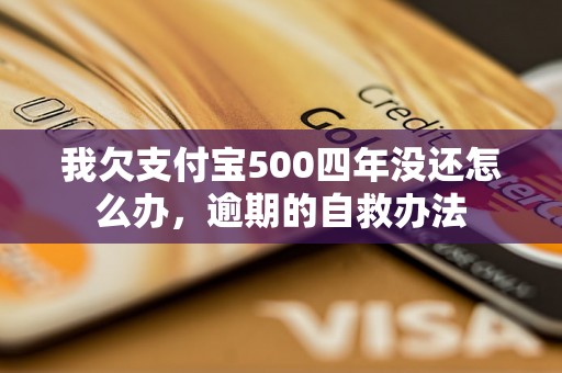 我欠支付宝500四年没还怎么办，逾期的自救办法