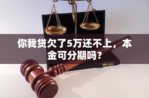 你我贷欠了5万还不上，本金可分期吗？