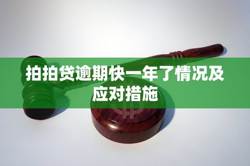 拍拍贷逾期快一年了情况及应对措施