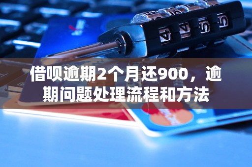 借呗逾期2个月还900，逾期问题处理流程和方法