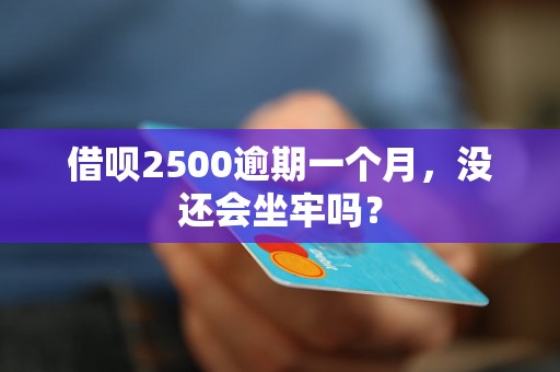 借呗2500逾期一个月，没还会坐牢吗？