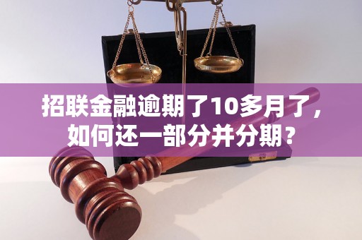 招联金融逾期了10多月了，如何还一部分并分期？