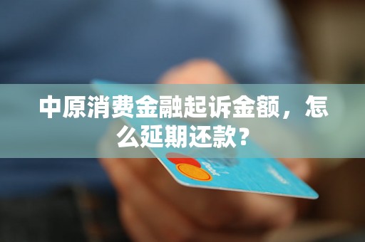 中原消费金融起诉金额，怎么延期还款？