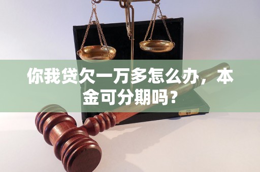 你我贷欠一万多怎么办，本金可分期吗？