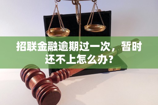 招联金融逾期过一次，暂时还不上怎么办？