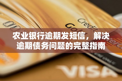 农业银行逾期发短信，解决逾期债务问题的完整指南