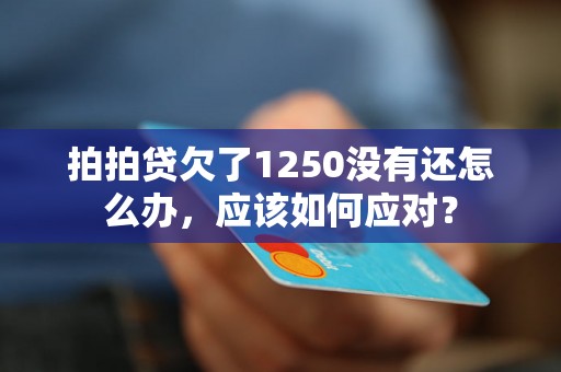 拍拍贷欠了1250没有还怎么办，应该如何应对？