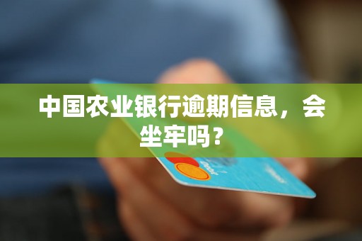 中国农业银行逾期信息，会坐牢吗？