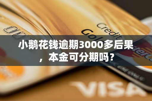 小鹅花钱逾期3000多后果，本金可分期吗？