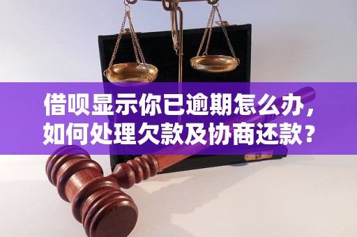 借呗显示你已逾期怎么办，如何处理欠款及协商还款？