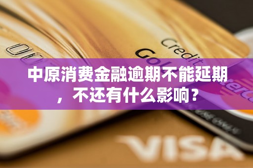 中原消费金融逾期不能延期，不还有什么影响？