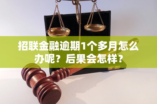 招联金融逾期1个多月怎么办呢？后果会怎样？