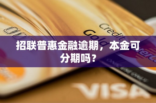 招联普惠金融逾期，本金可分期吗？