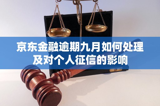 京东金融逾期九月如何处理及对个人征信的影响