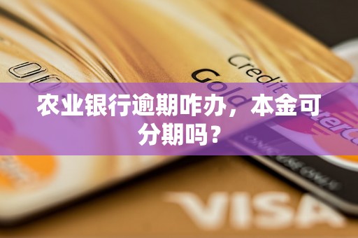 农业银行逾期咋办，本金可分期吗？