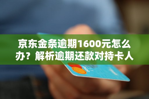 京东金条逾期1600元怎么办？解析逾期还款对持卡人的影响