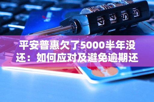 平安普惠欠了5000半年没还：如何应对及避免逾期还款问题