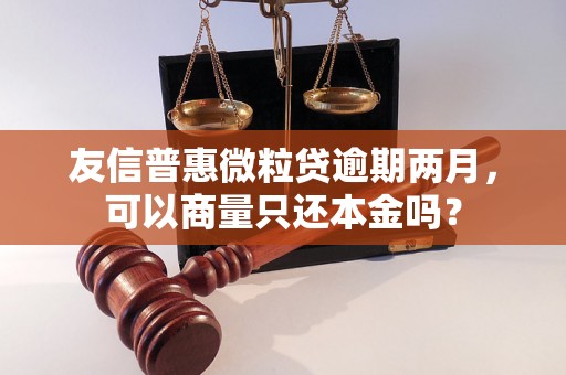 友信普惠微粒贷逾期两月，可以商量只还本金吗？