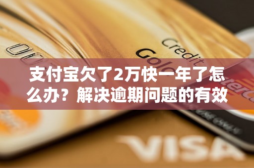 支付宝欠了2万快一年了怎么办？解决逾期问题的有效方法分享