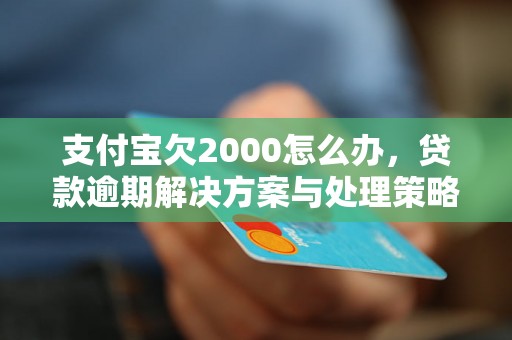 支付宝欠2000怎么办，贷款逾期解决方案与处理策略