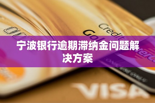 宁波银行逾期滞纳金问题解决方案