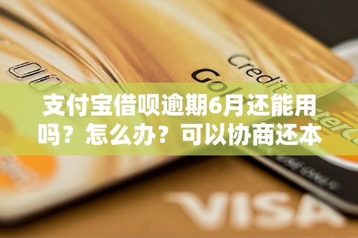 支付宝借呗逾期6月还能用吗？怎么办？可以协商还本金吗？