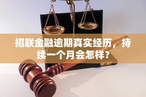 招联金融逾期真实经历，持续一个月会怎样？