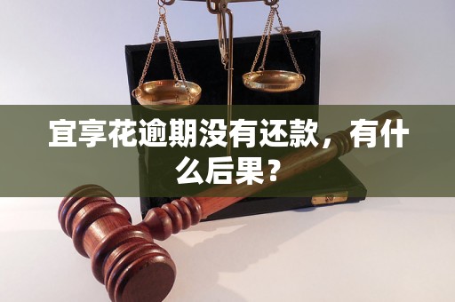 宜享花逾期没有还款，有什么后果？